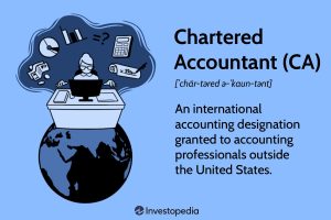 chartered accountant do