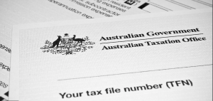 lodge your own tax return